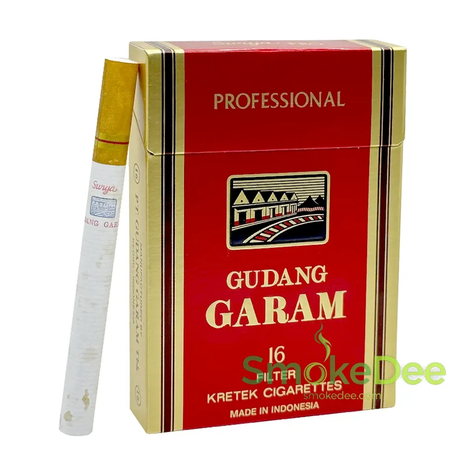 บุหรี่นอก GARAM กาแรม Professional 16