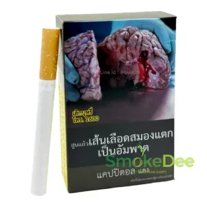 Capital แคปปิตอล แดง (ไทย) ซองแข็ง