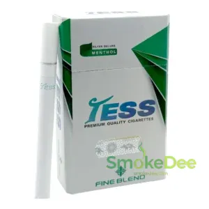 Tess เขียว (ซองแข็ง) เทสส์