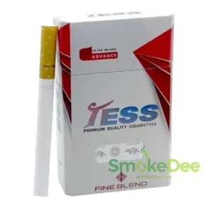 Tess แดง (ซองแข็ง) เทสส์